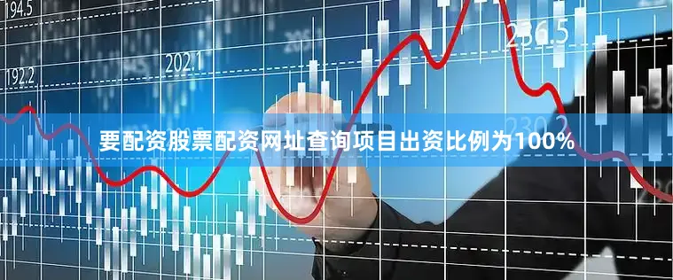 要配资股票配资网址查询项目出资比例为100%