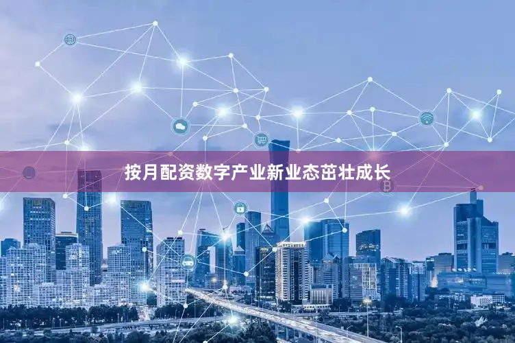 按月配资数字产业新业态茁壮成长