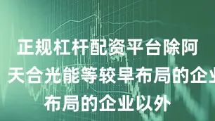 正规杠杆配资平台除阿特斯、天合光能等较早布局的企业以外