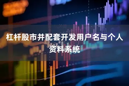 杠杆股市并配套开发用户名与个人资料系统